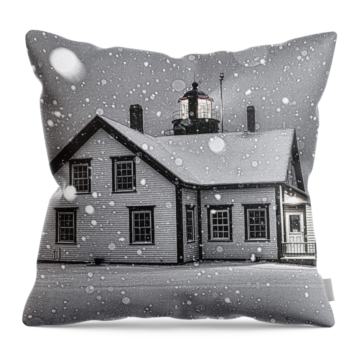 Let It Snow Throw Pillow featuring the photograph Let it Snow by Marty Saccone