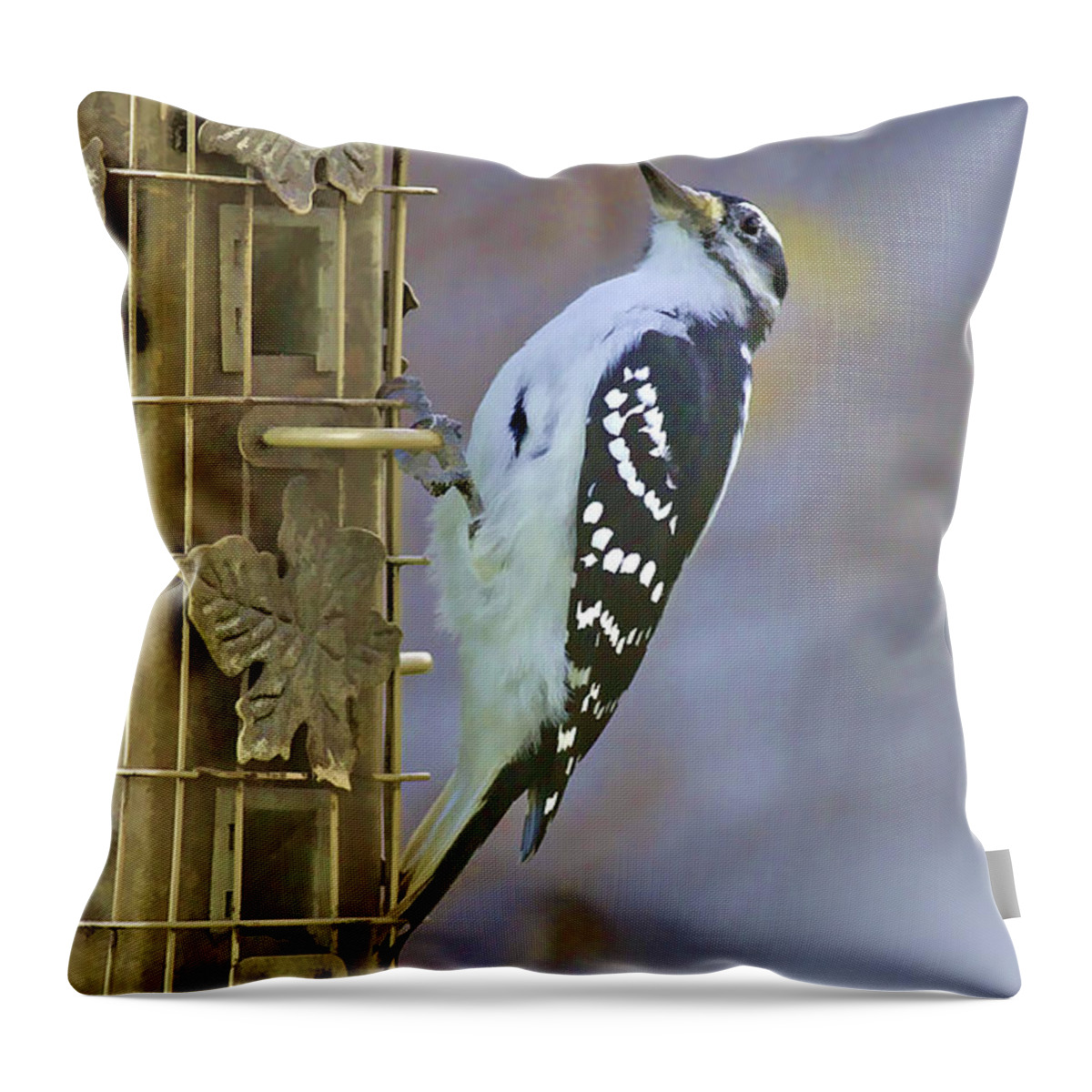 Wildlife Throw Pillow featuring the photograph Let Me Pose For You by Deborah Benoit