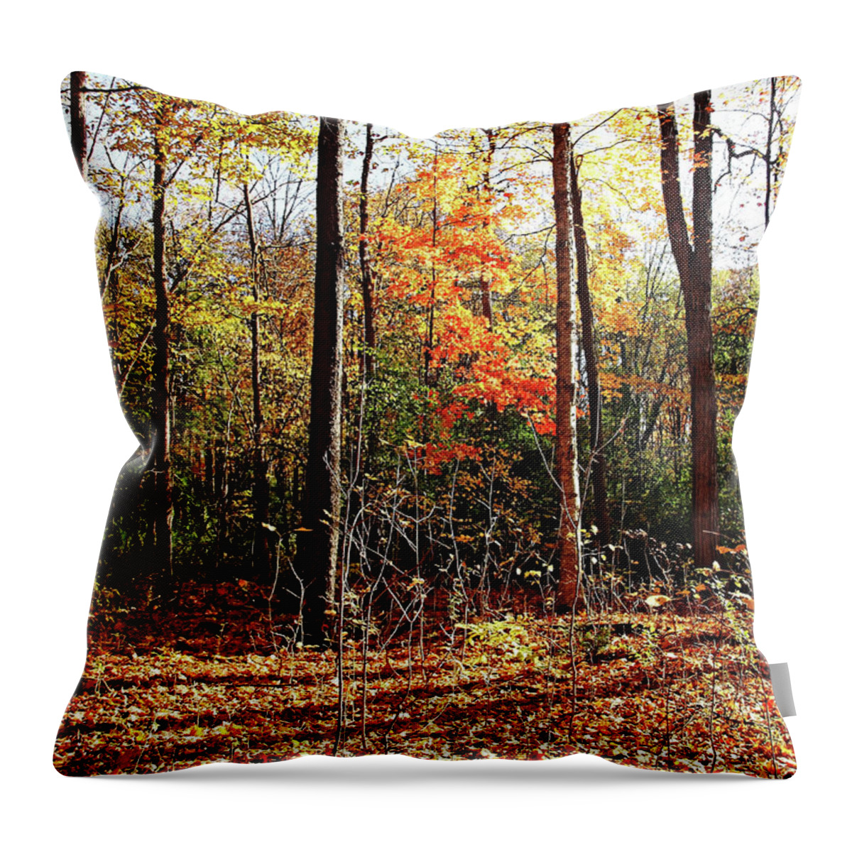 Autumn Throw Pillow featuring the photograph Let The Sun Shine In by Debbie Oppermann