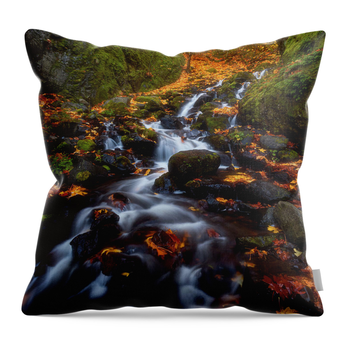 Fall Throw Pillow featuring the photograph Let the water fall by Darren White