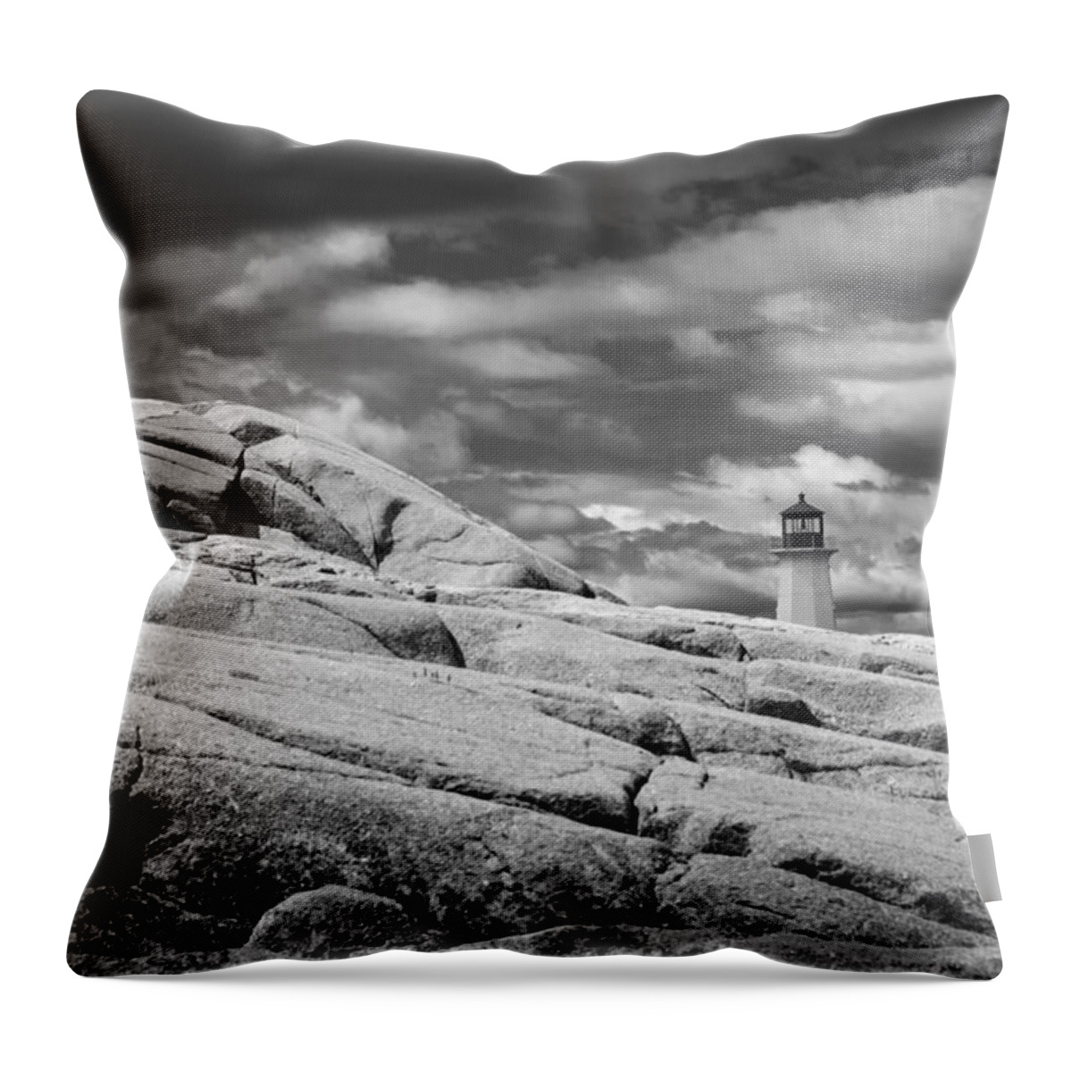 2015 Throw Pillow featuring the photograph Let The Wind Take You by Sandra Parlow