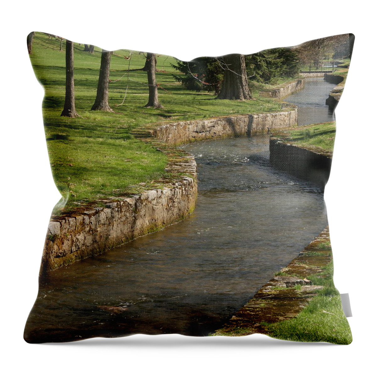 Creek Throw Pillow featuring the photograph LeTort Spring Run by Jean Macaluso