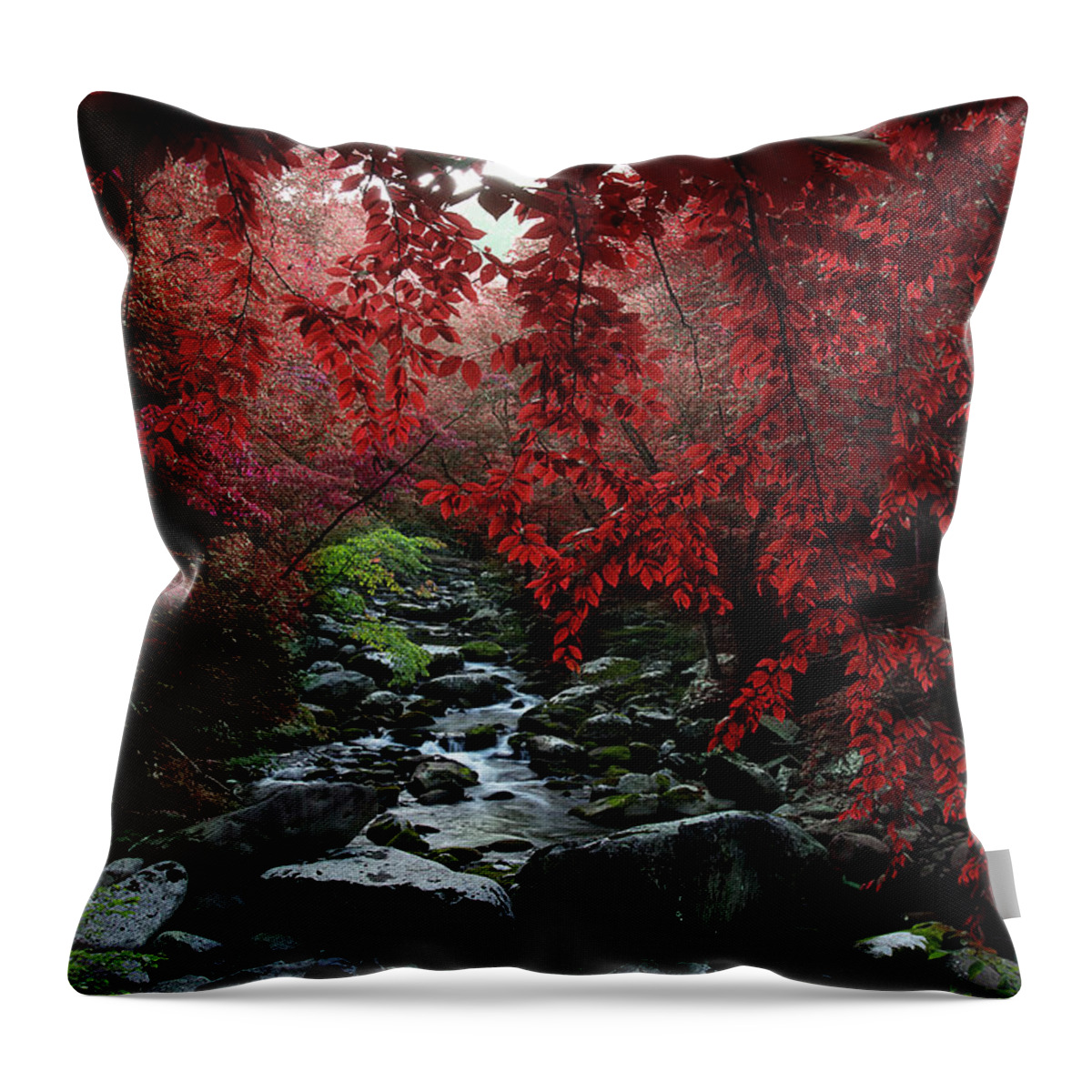 Smoky Mountain Stream Throw Pillow featuring the photograph Let's Dream Together by Mike Eingle