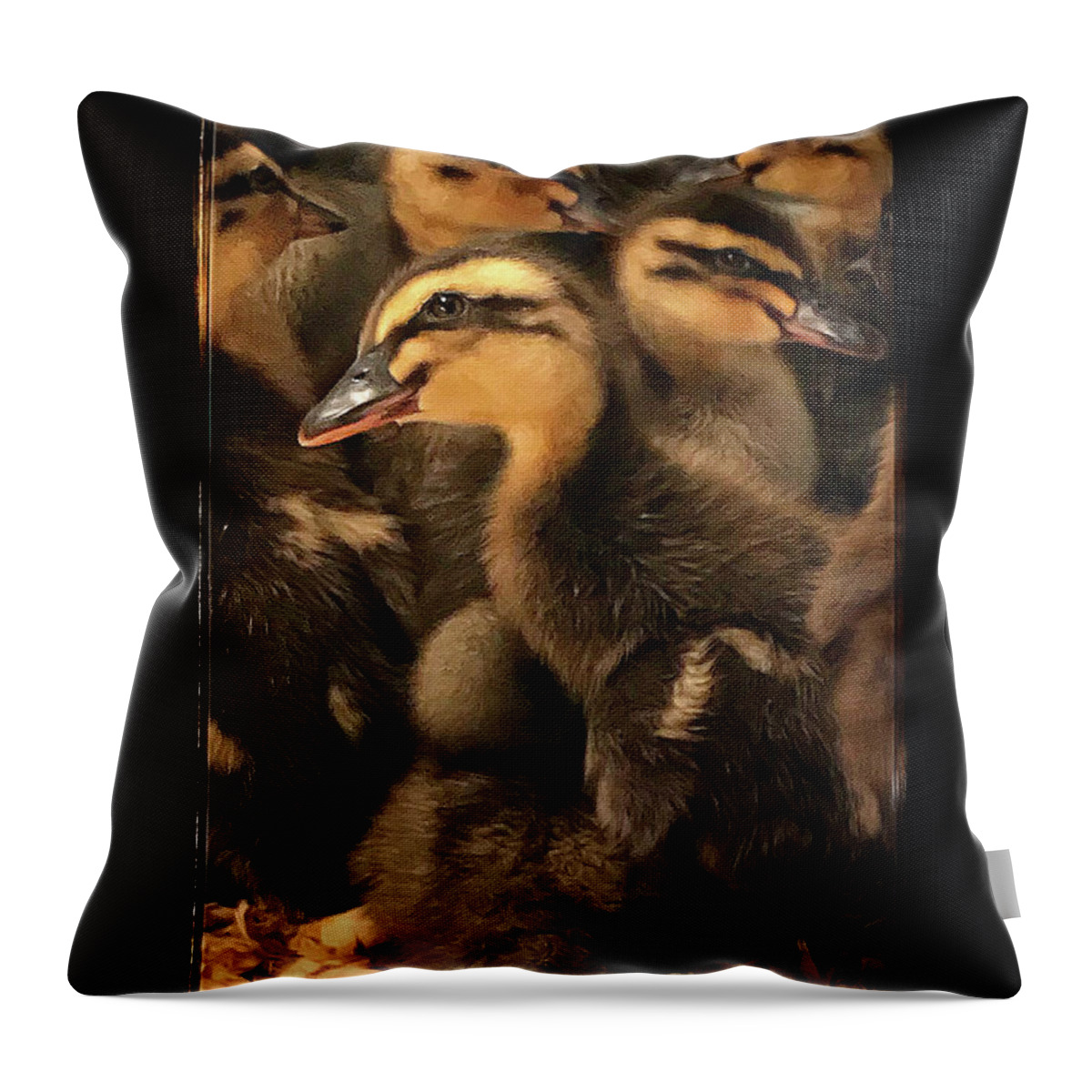 Ducklings Throw Pillow featuring the photograph Let's get together by Cheryl Birkhead
