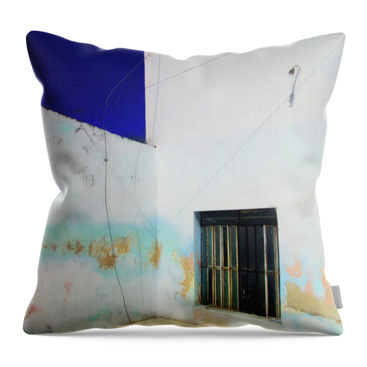Let's Play Throw Pillow featuring the photograph Let's Play by Skip Hunt