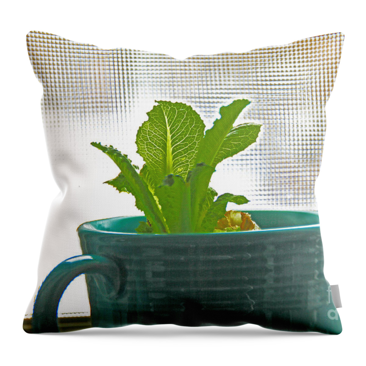 Lettuce Throw Pillow featuring the photograph Lettuce Leaves In Cup by David Frederick