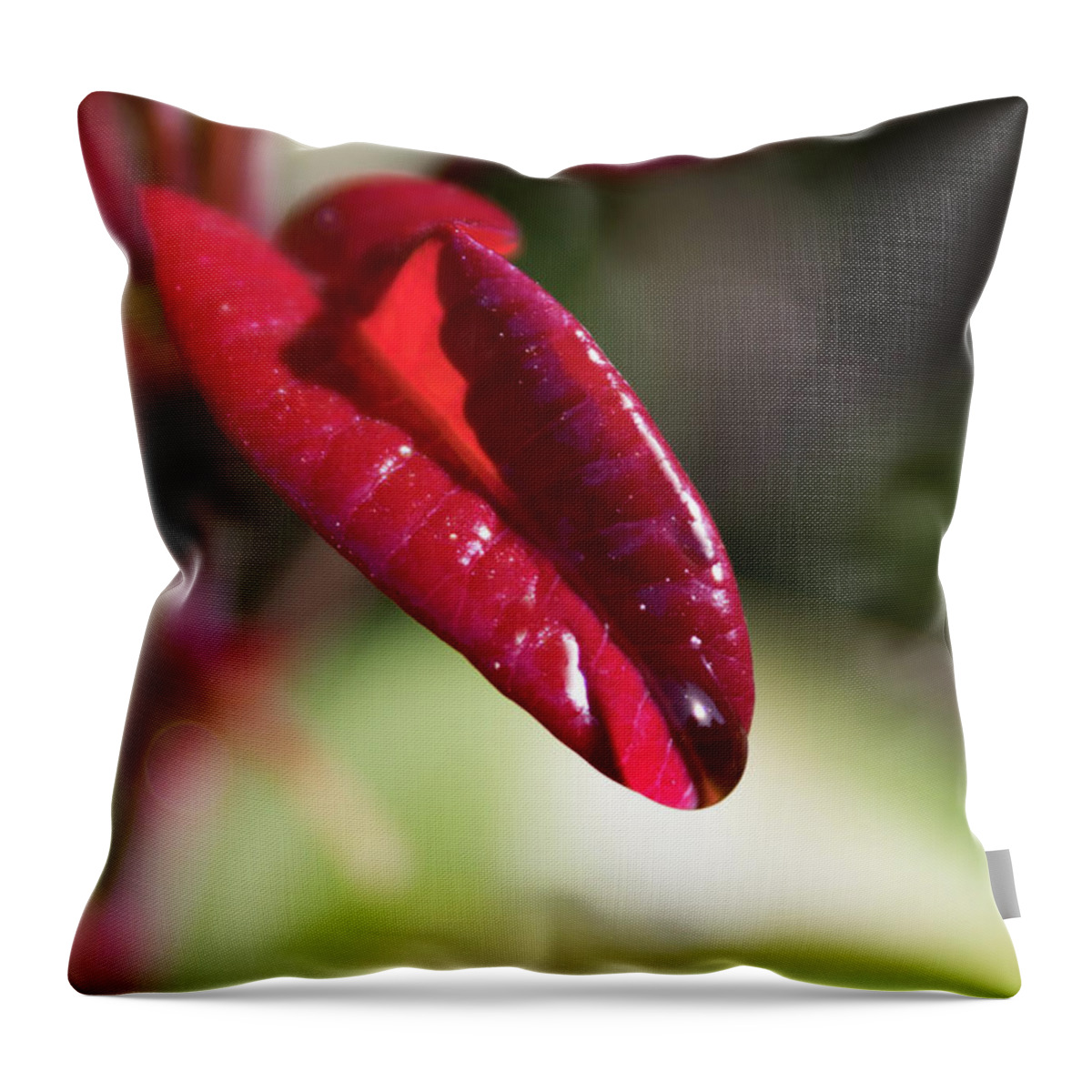 Red Leaf Throw Pillow featuring the photograph Lick it Up by Alison Frank