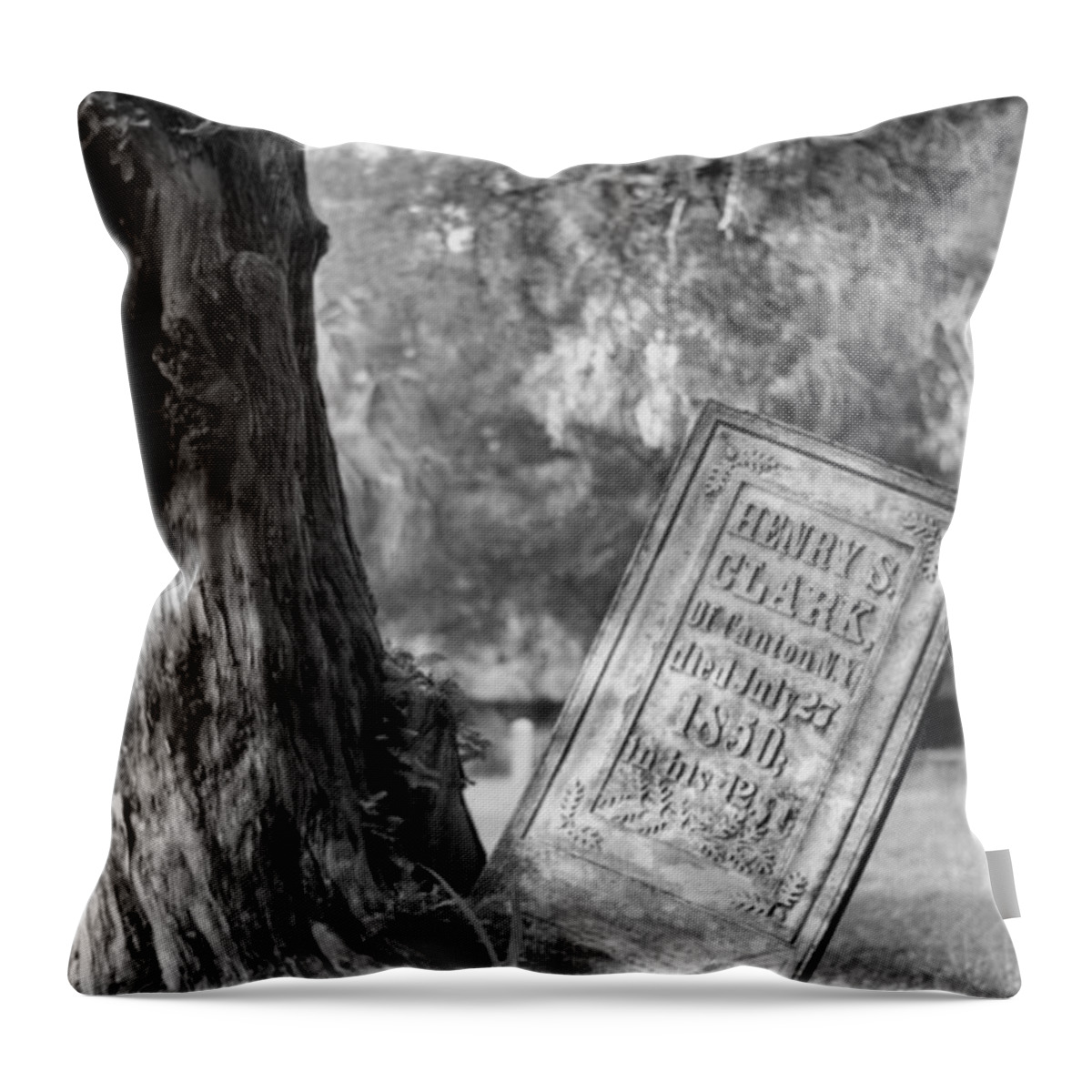Graves Throw Pillow featuring the photograph Life After Death by Richard Rizzo