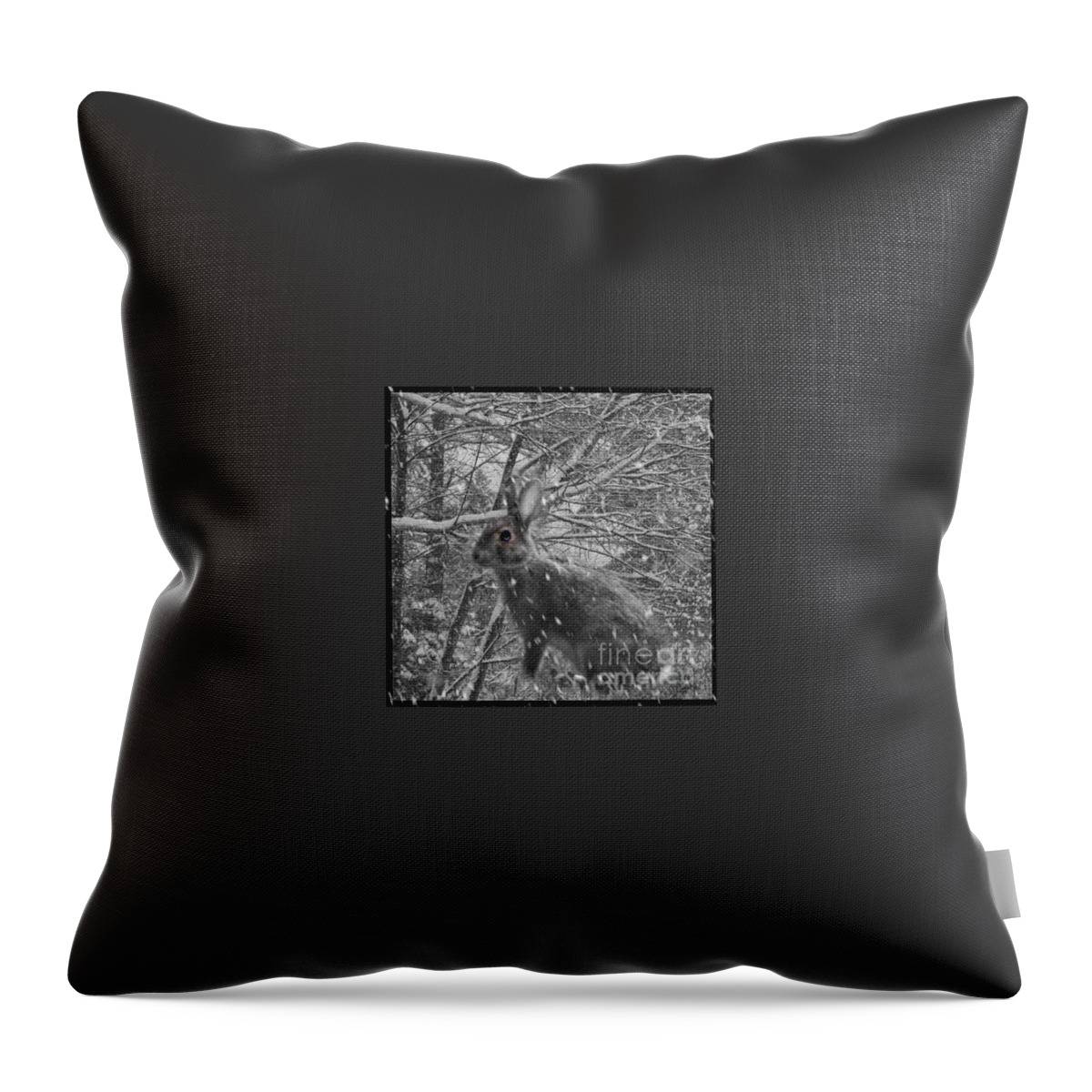 Black And White Throw Pillow featuring the photograph Life Can Get Complicated by Barbara S Nickerson
