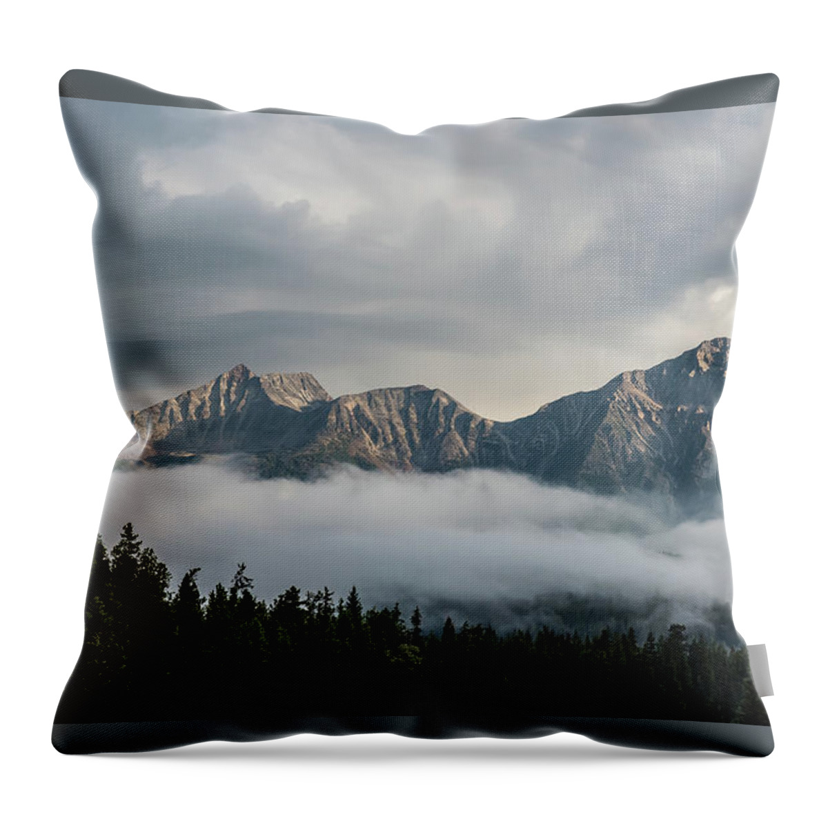 Nature Throw Pillow featuring the photograph Life in the Clouds by Bianca Nadeau