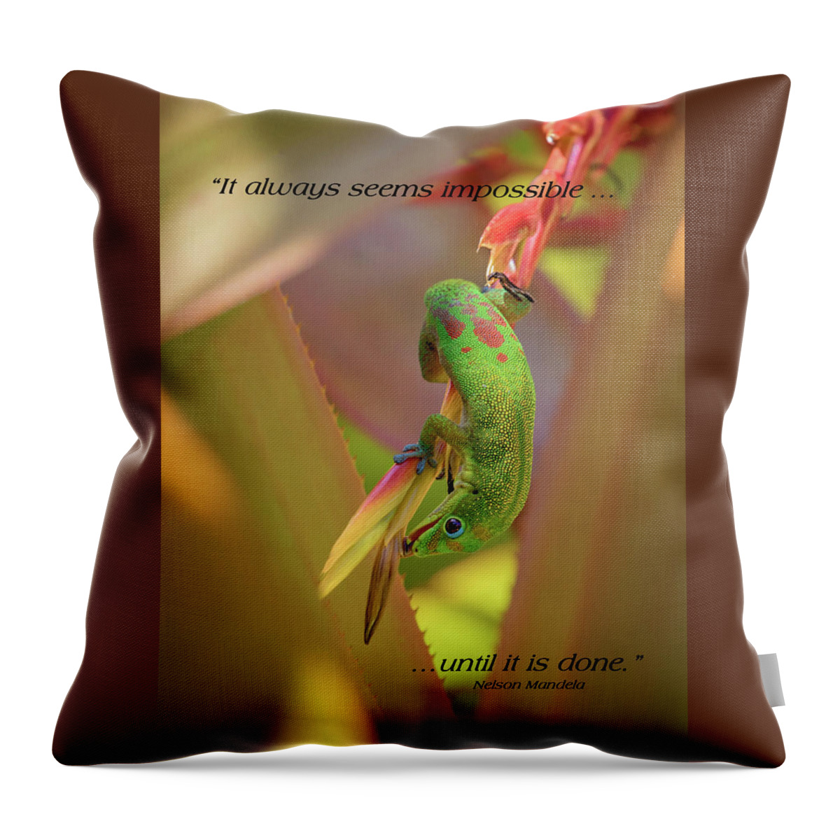 Gecko Throw Pillow featuring the photograph Life Lessons From a Gecko #1 by Susan Rissi Tregoning