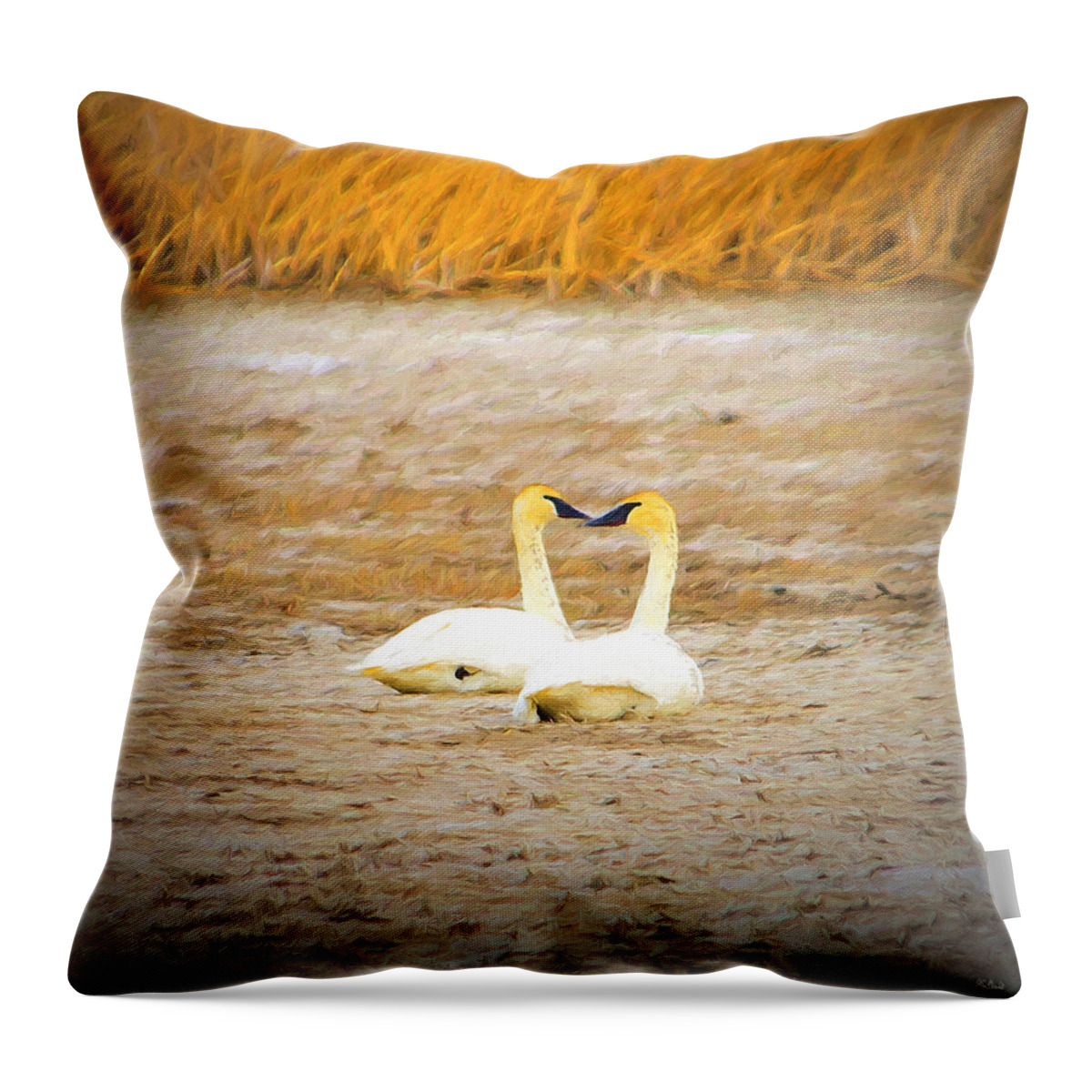Swans Throw Pillow featuring the photograph Life Mate Impressions by Greg Norrell