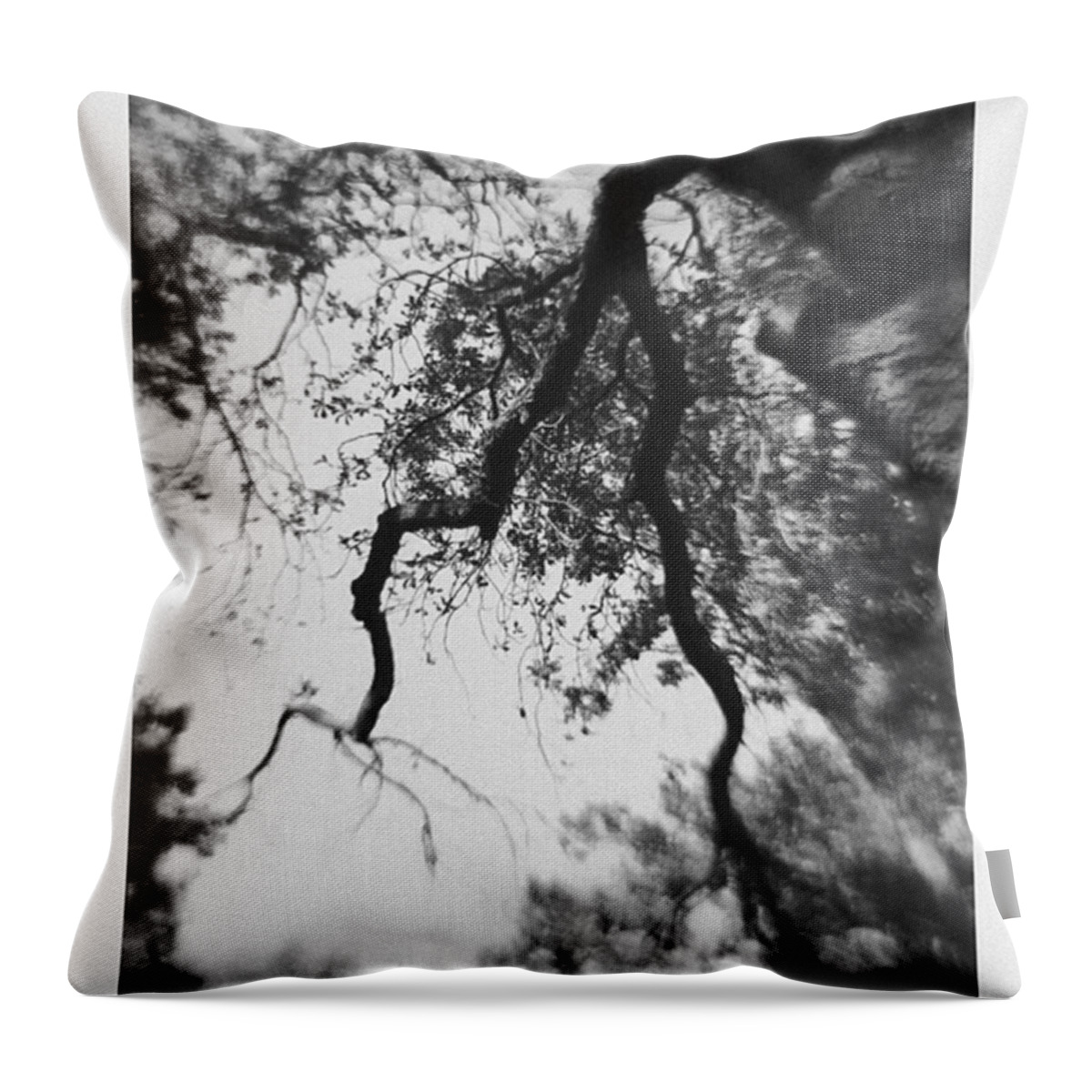 Composerpro Throw Pillow featuring the photograph #life #photorect #blackandwhite by Mandy Tabatt