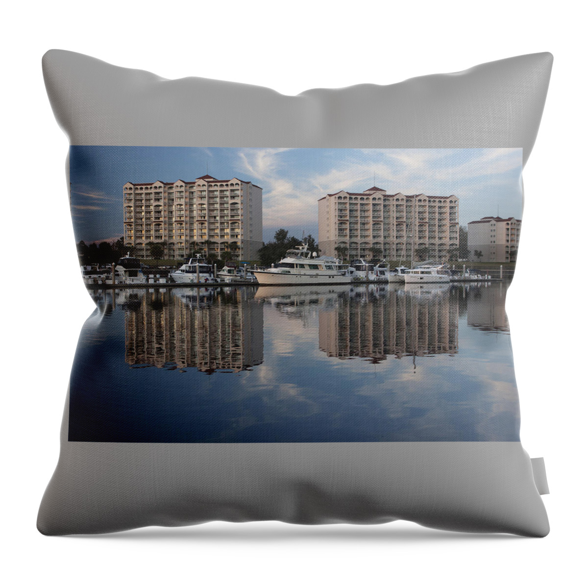 Photograph Throw Pillow featuring the photograph Lifestyle Reflections by Suzanne Gaff