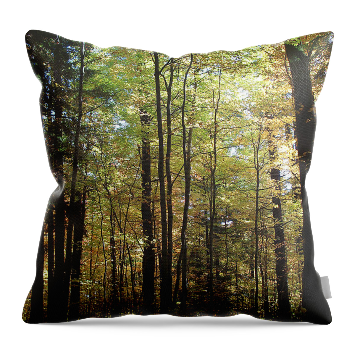 Forest Throw Pillow featuring the photograph Light Among the Trees Vertical by Felipe Adan Lerma