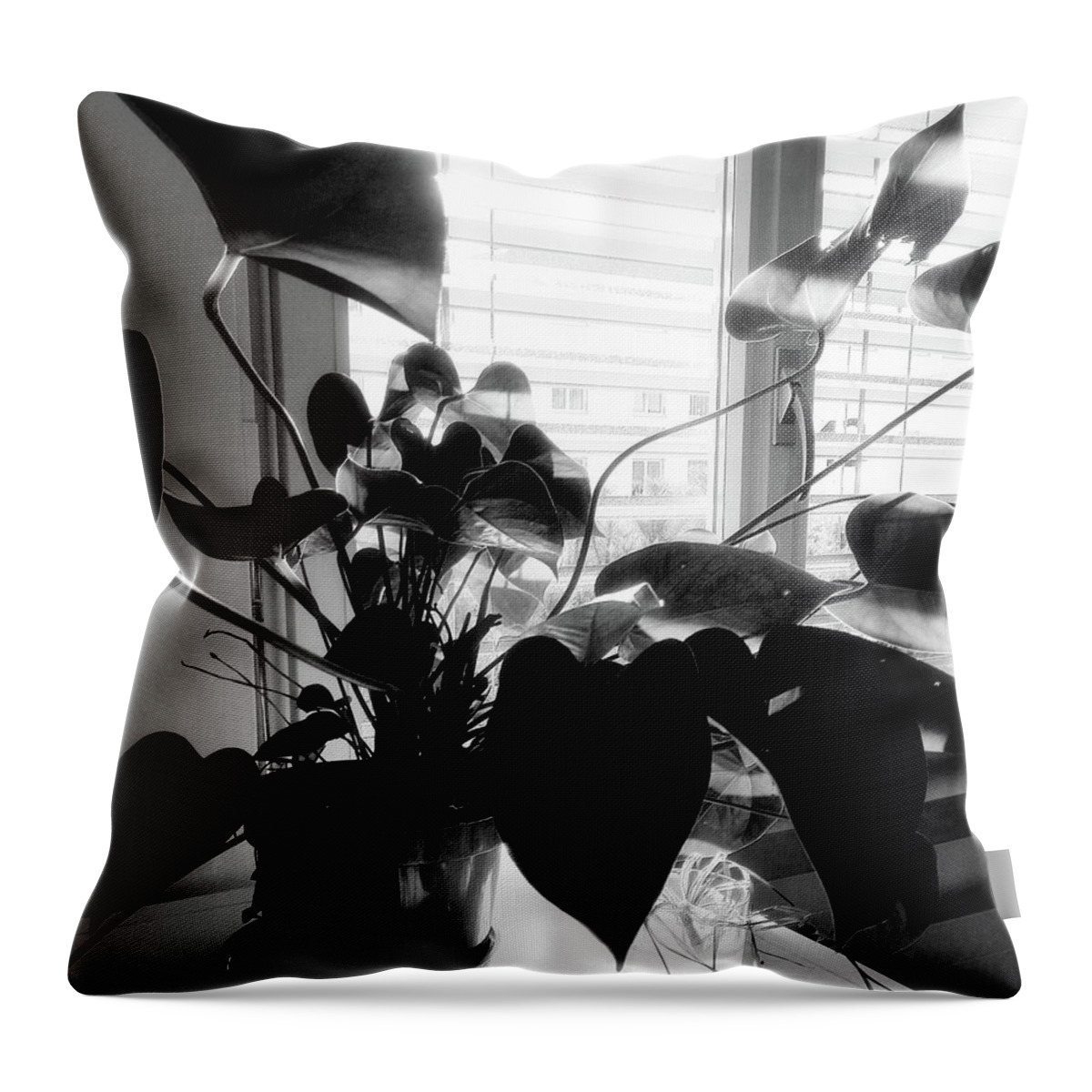Shadow Throw Pillow featuring the photograph Light and Shadow 11 by Mimulux Patricia No