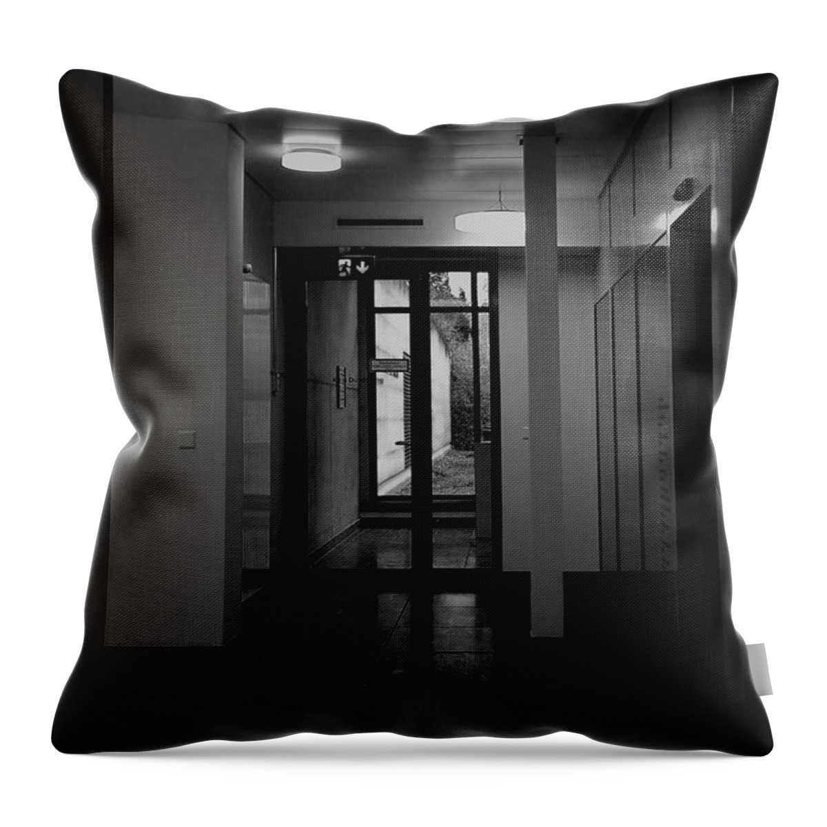 Light Throw Pillow featuring the photograph Light and Shadow 12 by Mimulux Patricia No