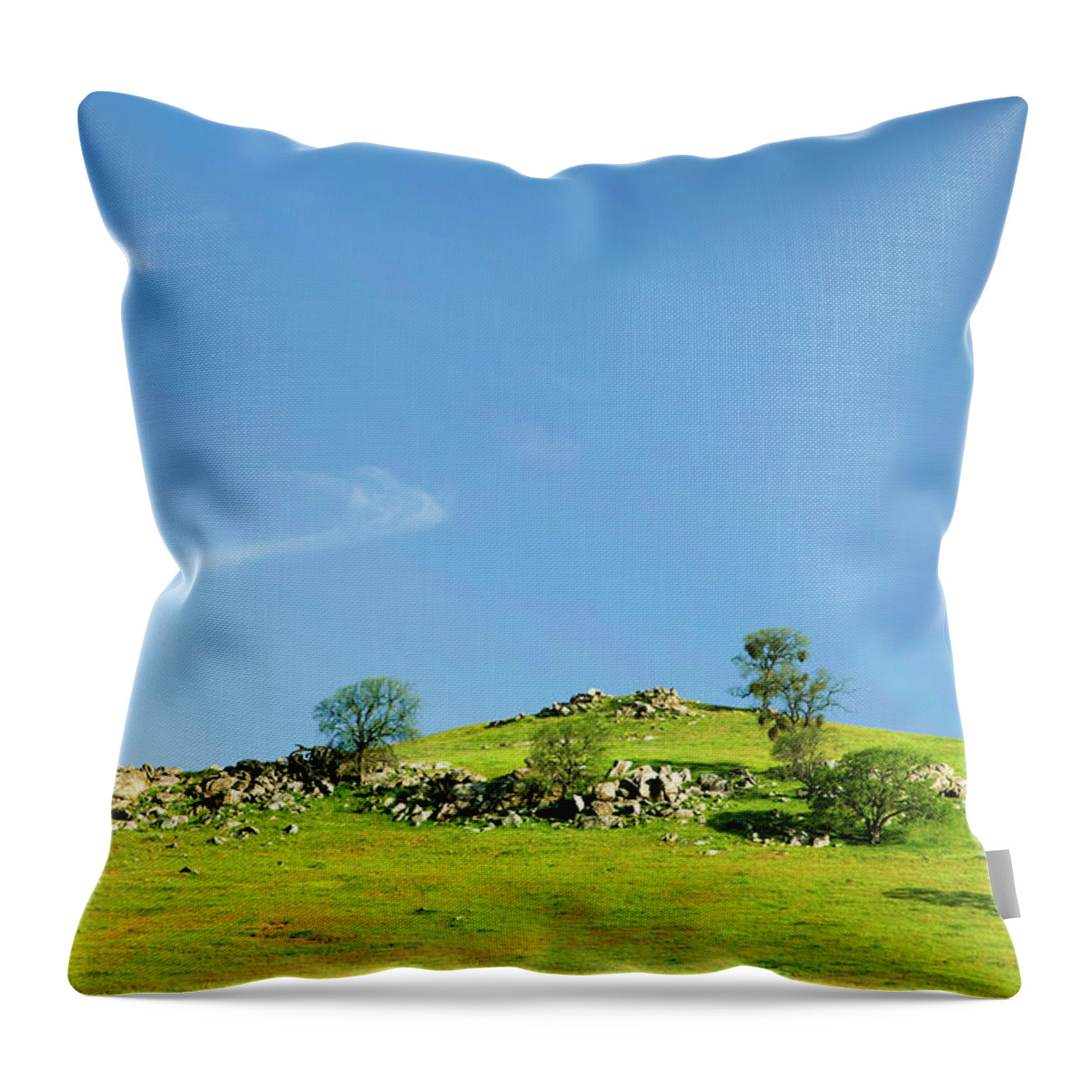 Central California Throw Pillow featuring the photograph Light and Shadows - Spring in Central California by Ram Vasudev