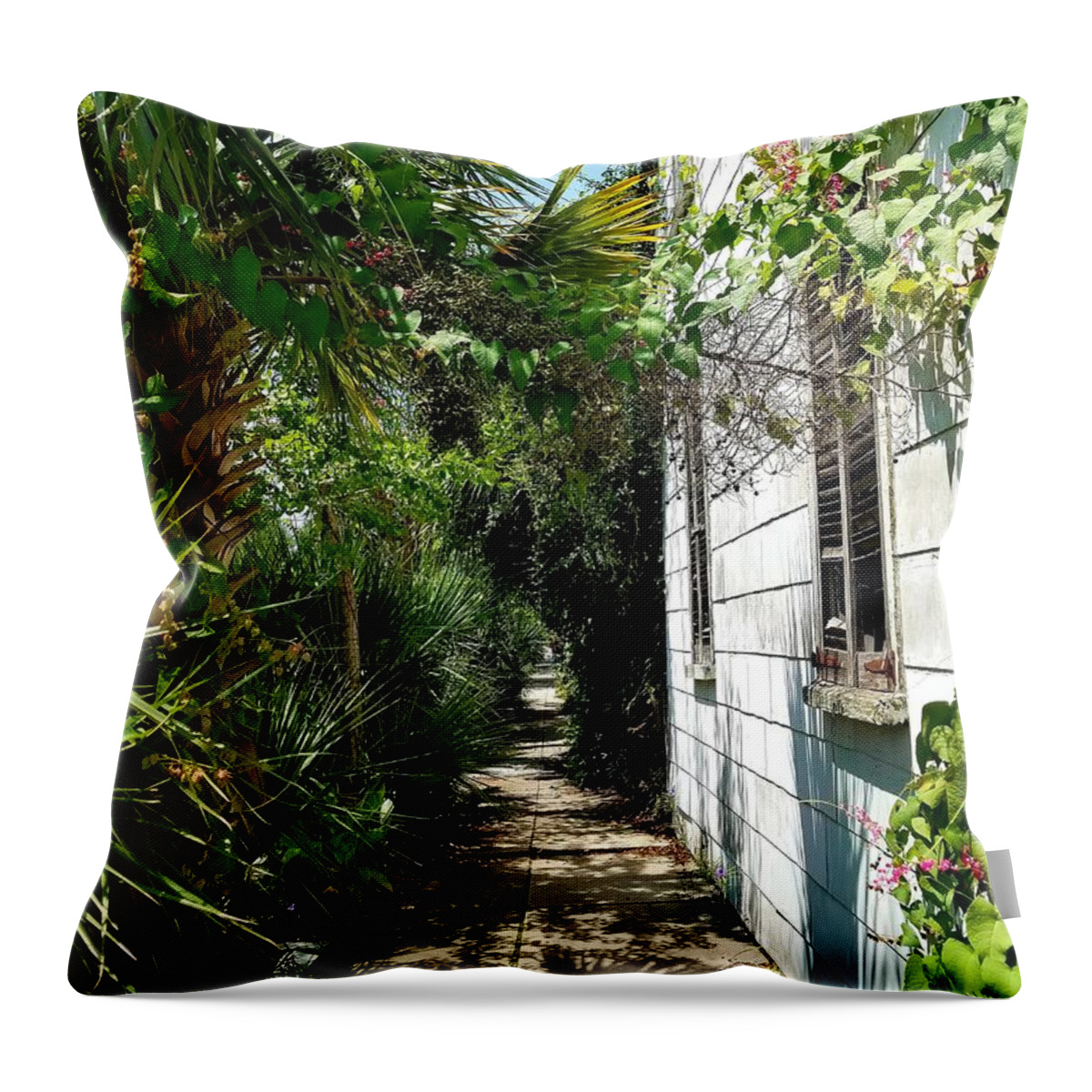 Foliage Throw Pillow featuring the photograph Light at the End by Amy Regenbogen