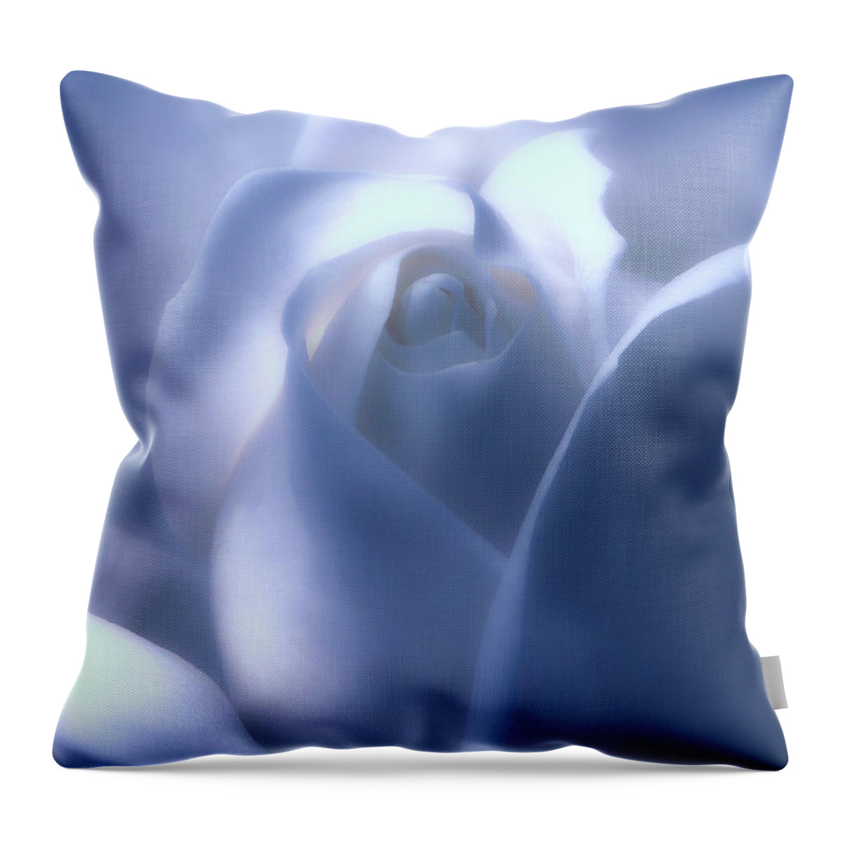 Rose Throw Pillow featuring the photograph Light Blue Rose Macro by Johanna Hurmerinta