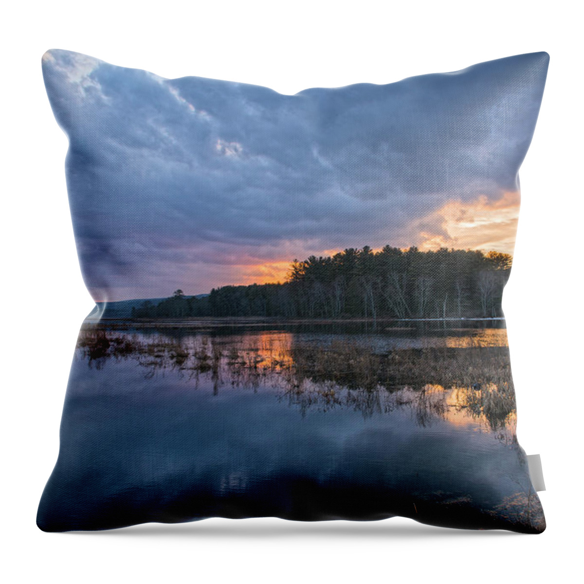 Wetlands Throw Pillow featuring the photograph Light Cycles by Angelo Marcialis