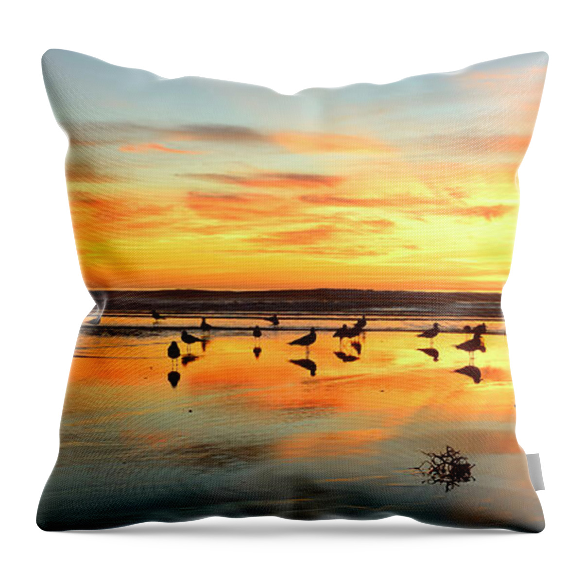 Landscapes Throw Pillow featuring the photograph Cloudburst Cardiff By The Sea by John F Tsumas