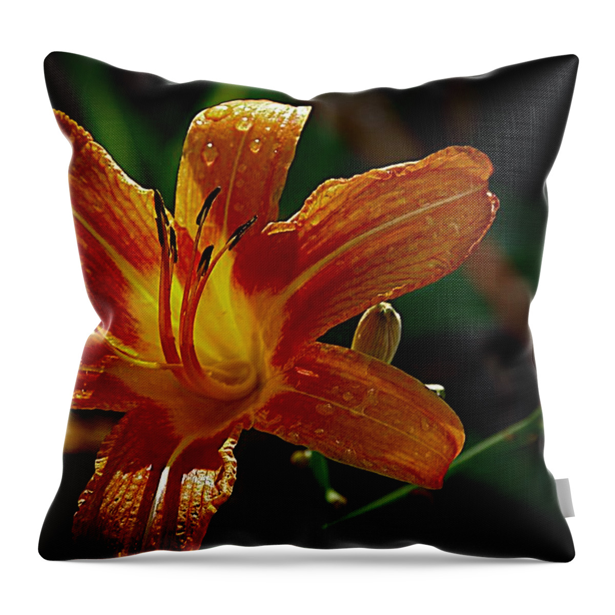 Dark Orange Lily Throw Pillow featuring the photograph Light in the Dark by Karen McKenzie McAdoo