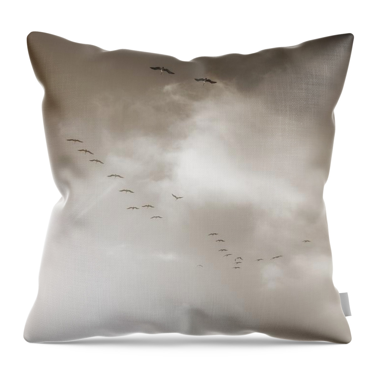 Birds Throw Pillow featuring the photograph Light Just Ahead by Leah McPhail