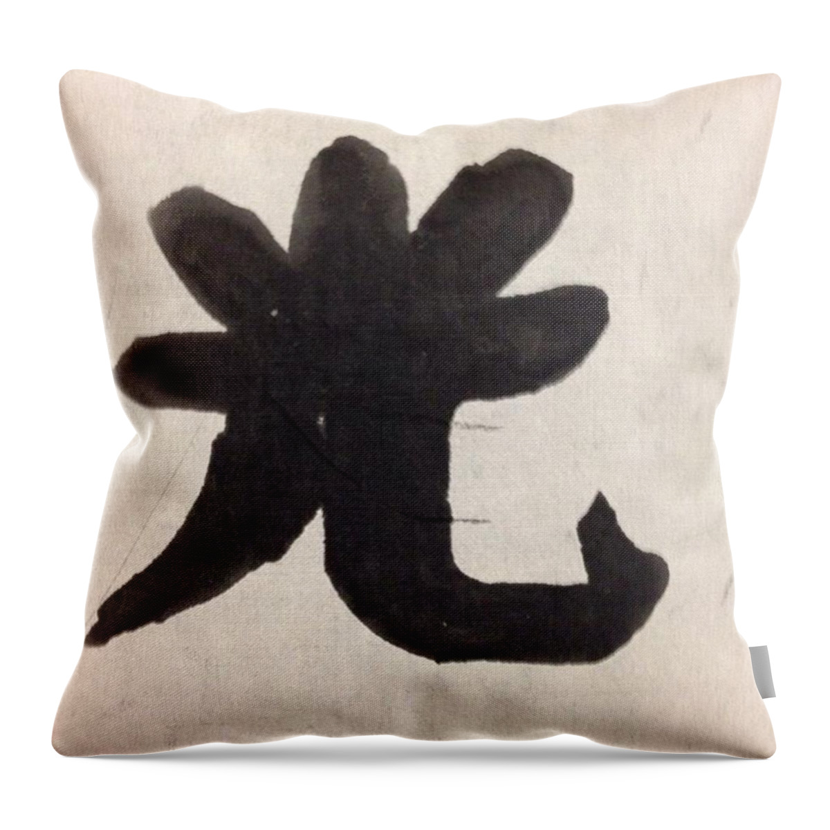 Art Throw Pillow featuring the photograph Light #kanji #art #calligraphy by Shoji Tamura
