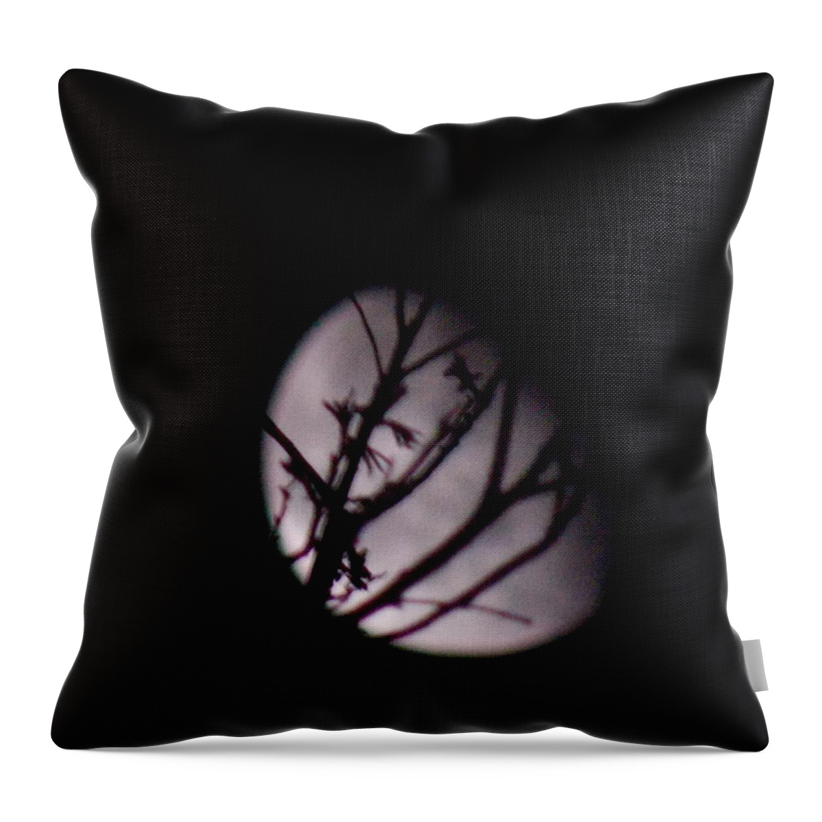 Light Throw Pillow featuring the photograph Light Of A Waning Moon by Virginia White