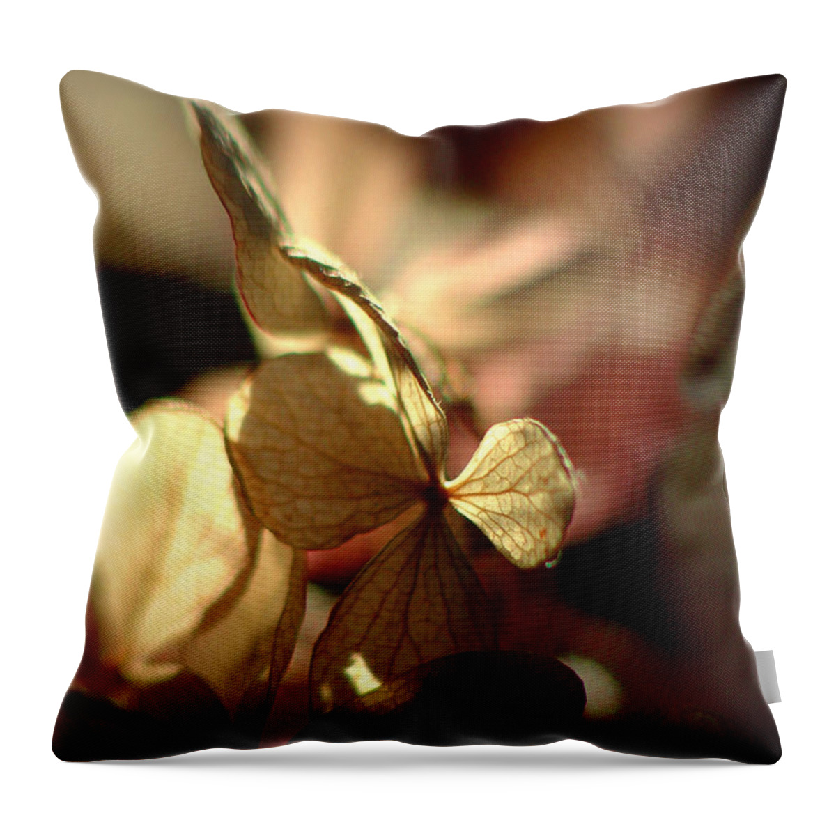 Flowers Throw Pillow featuring the photograph Light Passion... by Arthur Miller
