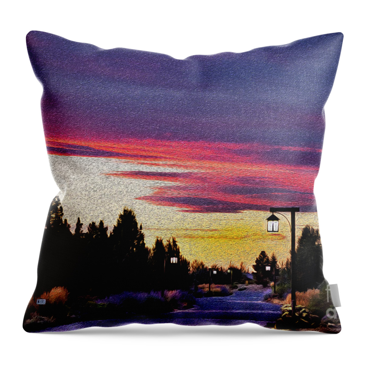 Pathway Throw Pillow featuring the photograph Light To My Path by Mary Jane Armstrong