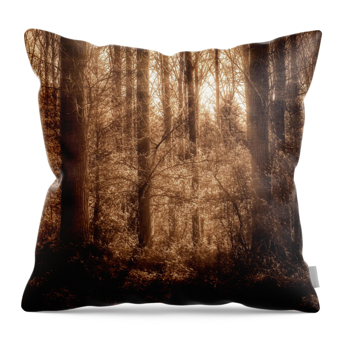 Forest Throw Pillow featuring the photograph Light Trough The Forest by Wim Lanclus