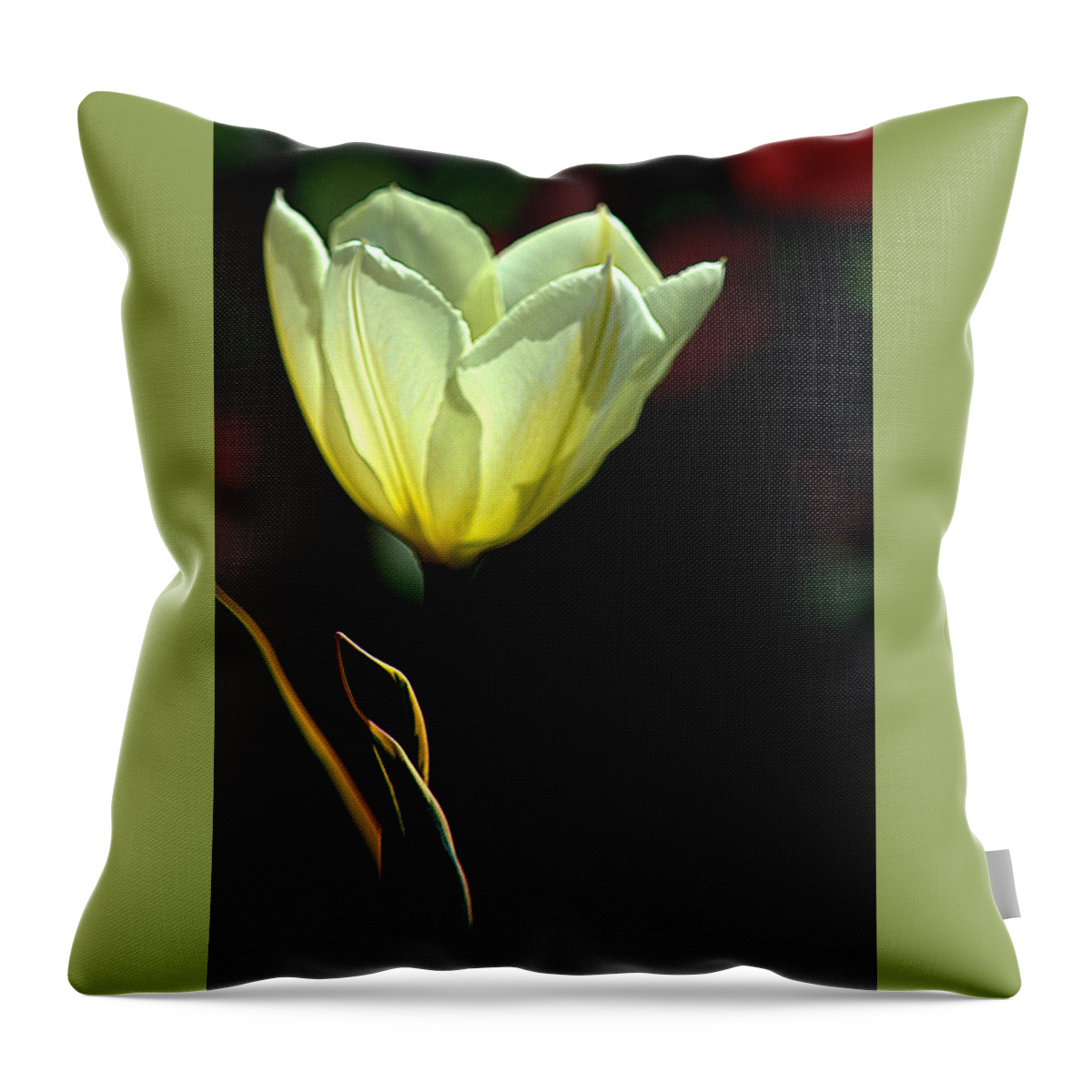 Art Throw Pillow featuring the photograph Light Yellow Tulip by Joan Han