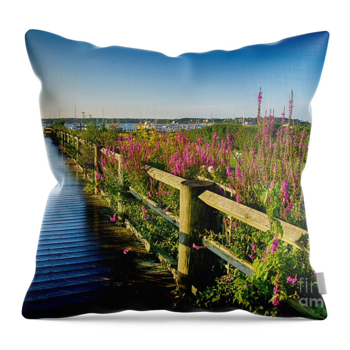 Edgartown Lighthouse Throw Pillow featuring the photograph Lighthouse Path by Mark Miller