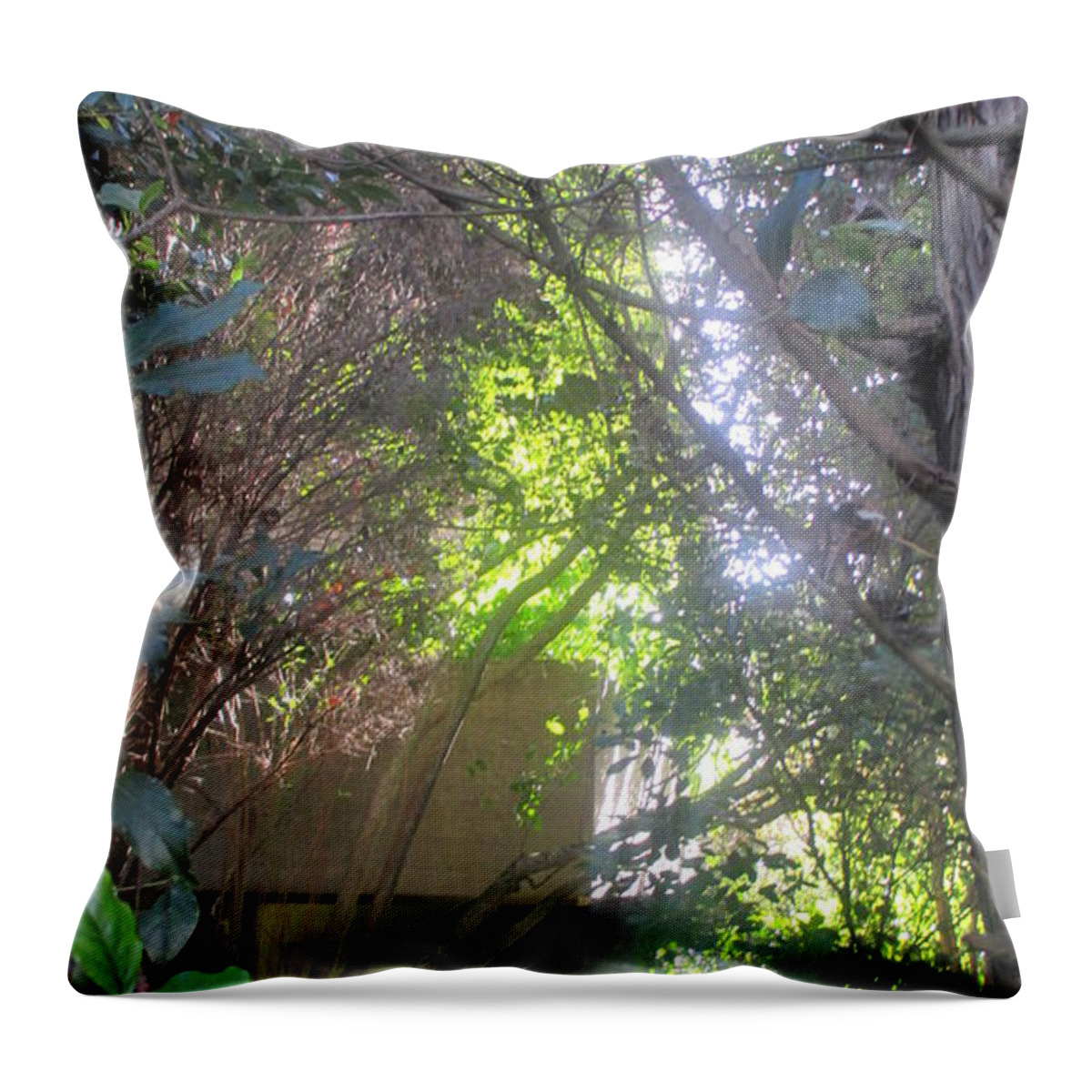 Nature Throw Pillow featuring the photograph Lights Among The Trees by Anamarija Marinovic