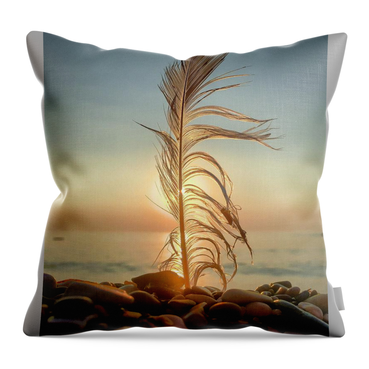 Feather Throw Pillow featuring the photograph Lights by Terri Hart-Ellis