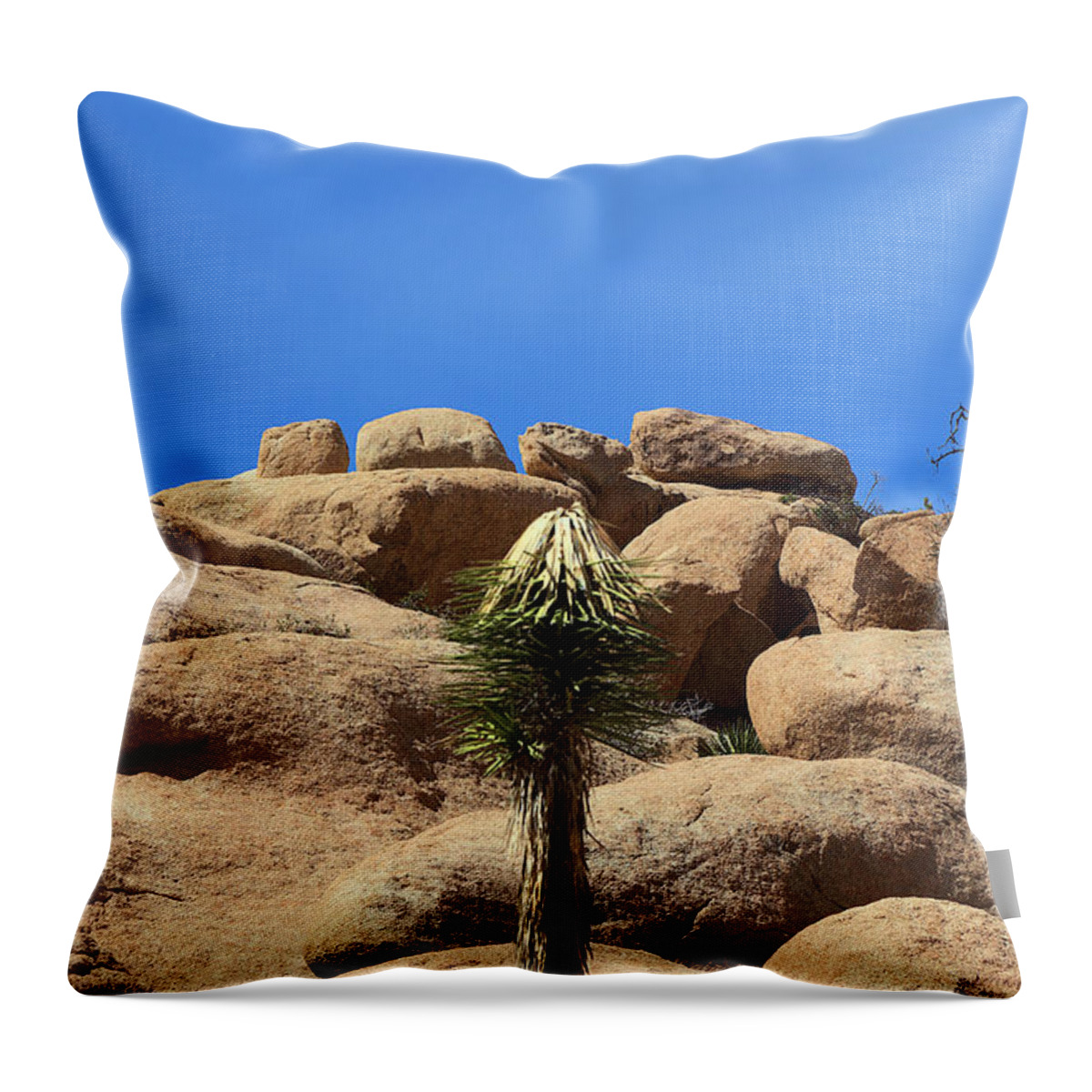 Like A Rocket Throw Pillow featuring the photograph Like a Rocket by Viktor Savchenko
