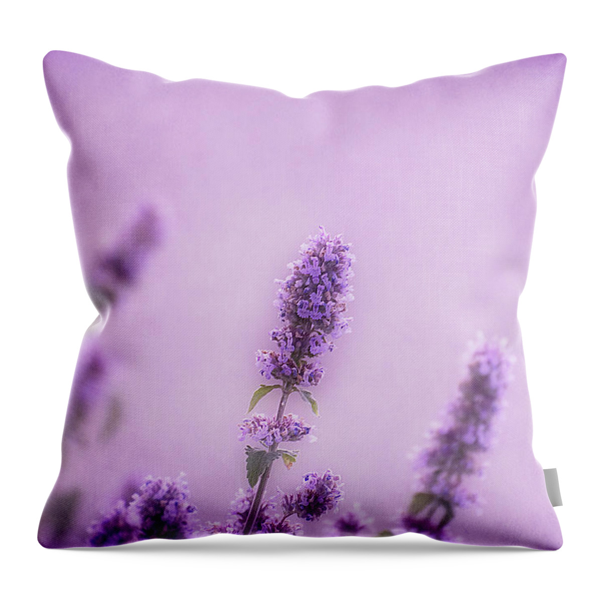 Monochrome Throw Pillow featuring the photograph Like a Warm Soft Summer Breeze by Robin Webster
