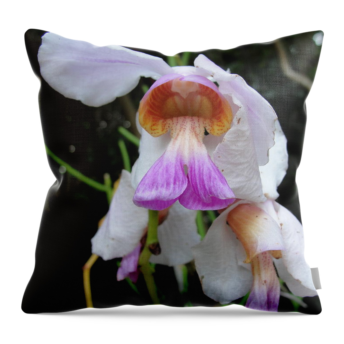Lilac And Mango Orchid Throw Pillow featuring the photograph Lilac And Mango Orchid by Susan Nash