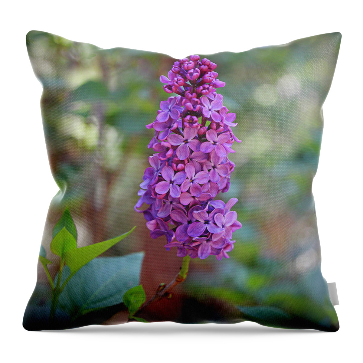 Lilac Throw Pillow featuring the photograph Lilac Bloom- Photography by Linda Woods by Linda Woods