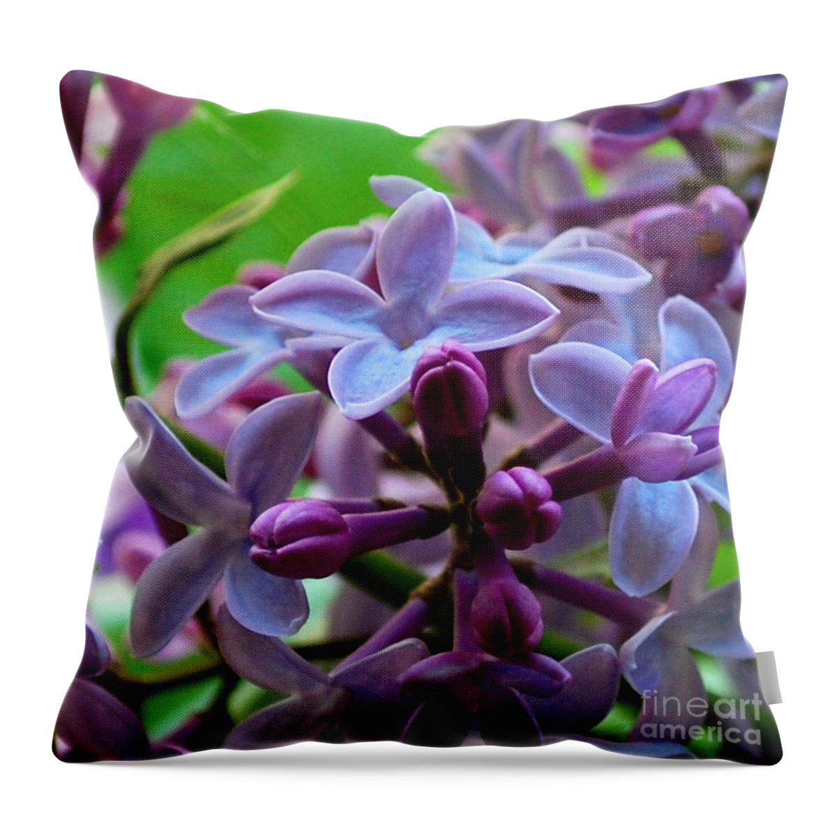 Lilac Throw Pillow featuring the photograph Lilac Blossoms and Buds by Nancy Mueller