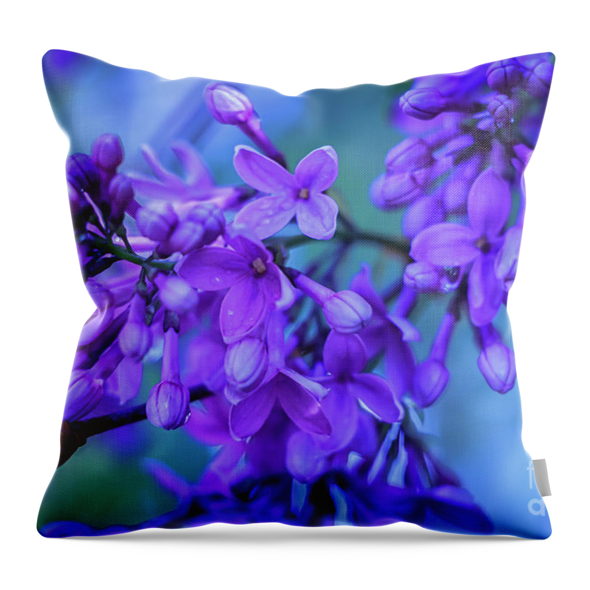 Lilacs Throw Pillow featuring the photograph Lilac Blues by Elizabeth Dow