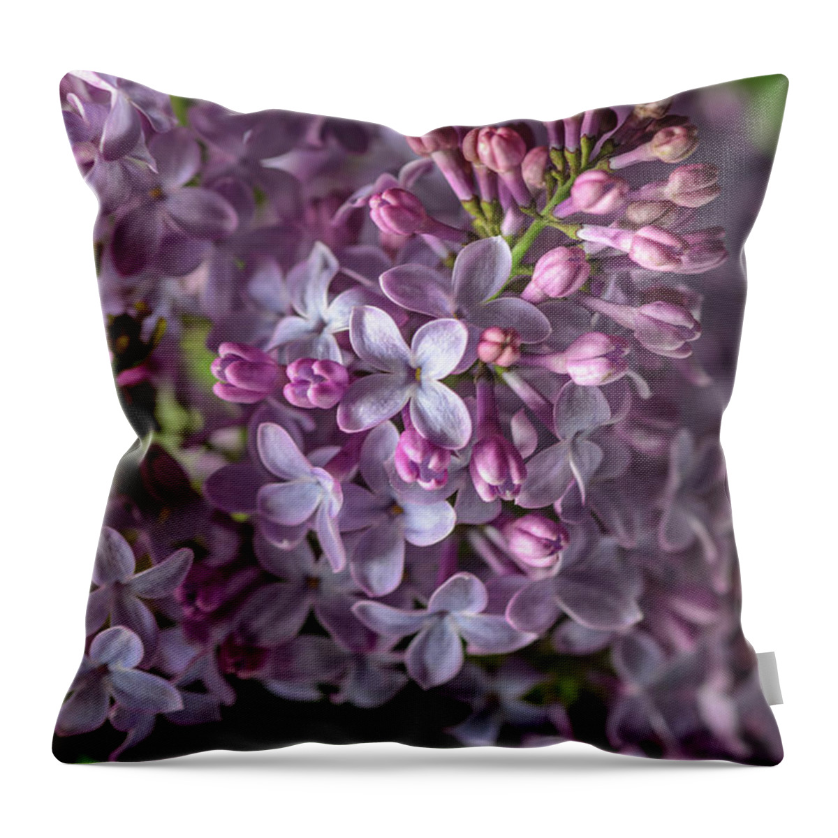 Lilacs Throw Pillow featuring the photograph Lilac Bouquet by Tamara Becker