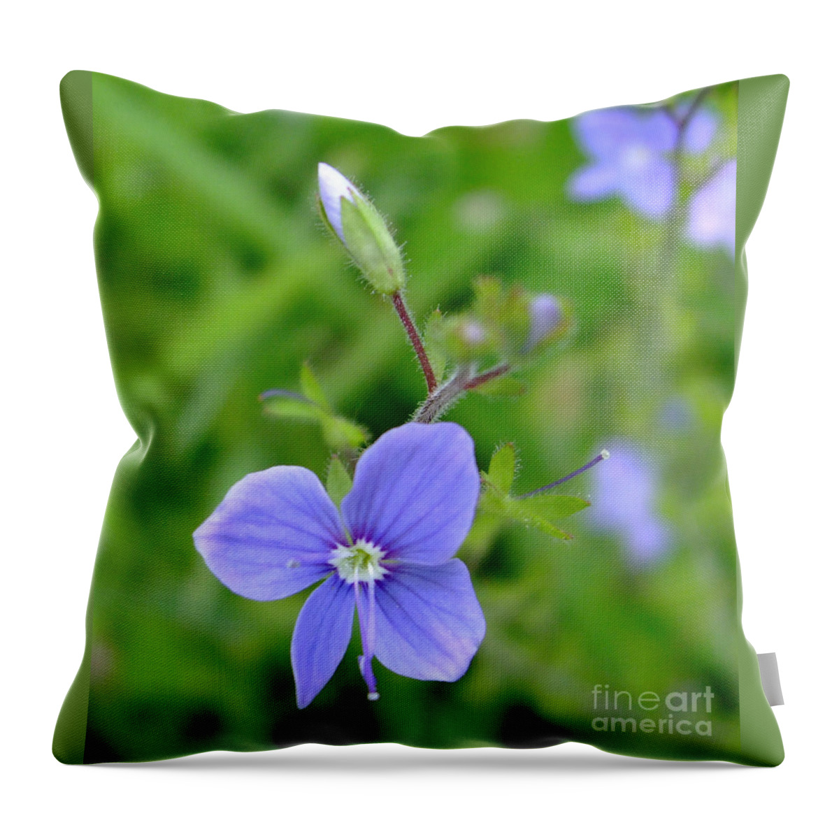 Lilac Throw Pillow featuring the photograph Lilac Flower by Julia Underwood