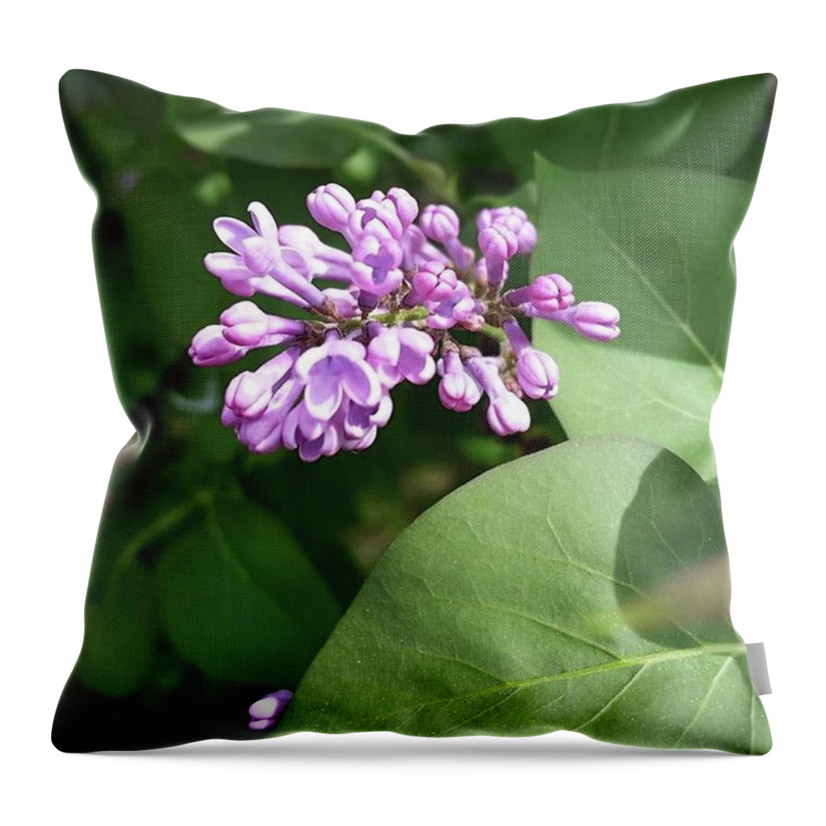 Springflowers Throw Pillow featuring the photograph Lilac #lilac #springflowers #spring by Krista Cagg