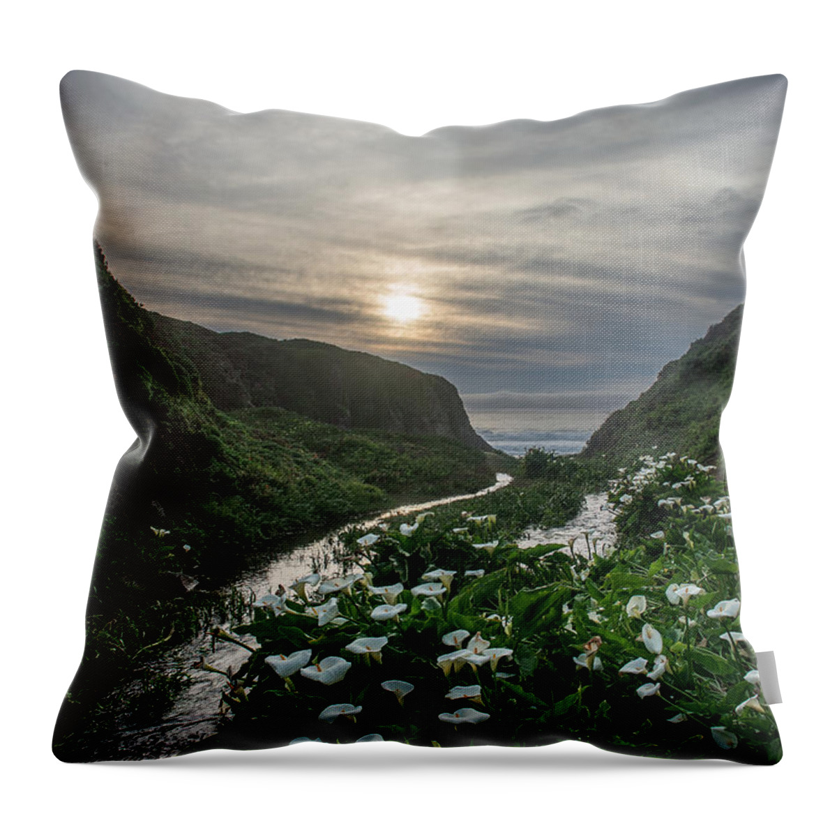 Big Sur Throw Pillow featuring the photograph Lilies Of Garrapata by Bill Roberts