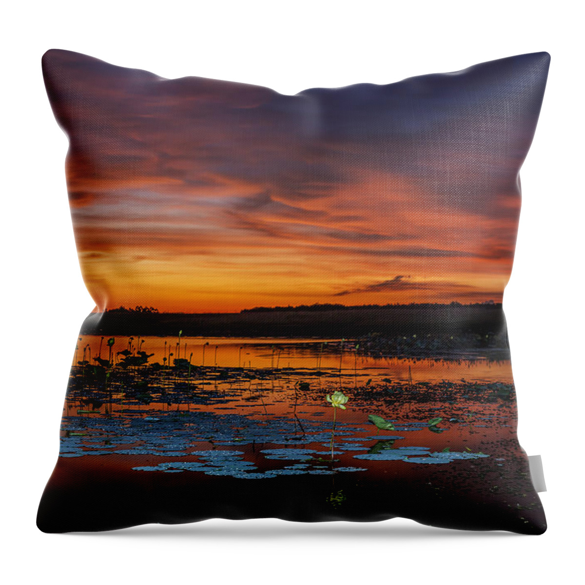 Sunset Throw Pillow featuring the photograph Lillies and the Sunset by Justin Battles