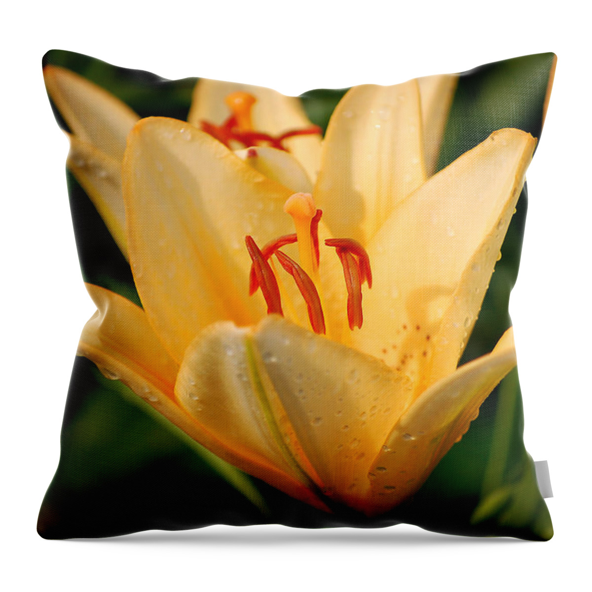 Lily Throw Pillow featuring the photograph Lilly by Angie Tirado