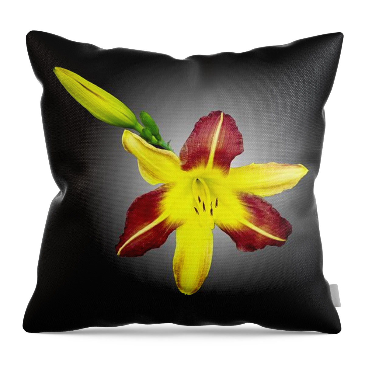 Lily And Bud Throw Pillow featuring the photograph Lily and Bud by Mike Breau